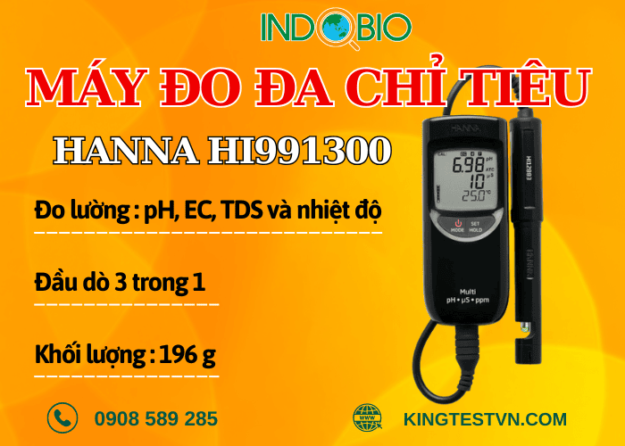 Máy đo nước đa chỉ tiêu Hanna HI991300